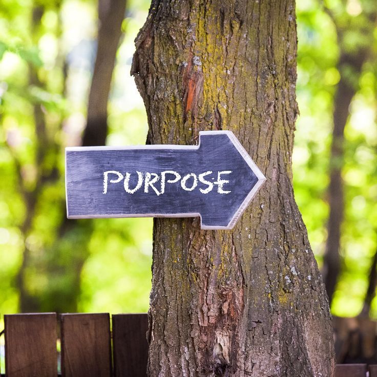 a wooden sign that says purpose on it next to a tree