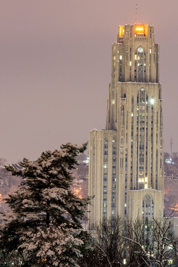 a very tall building with lights on it's sides and trees in the foreground