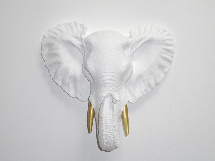 an elephant's head mounted on the wall with gold tusks and curled ears