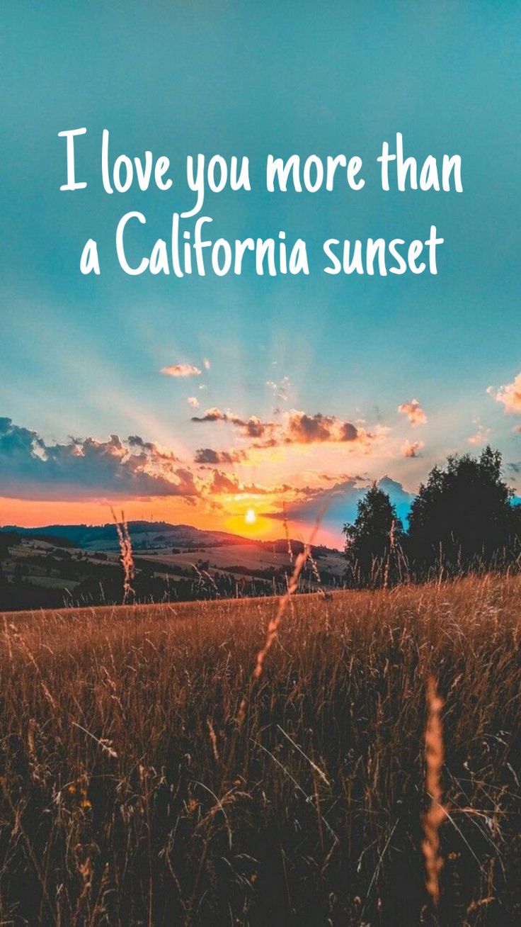 the sun is setting over a field with grass in front of it and an inscription that reads