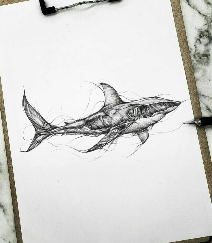 a drawing of a shark on paper next to a pen and ink roller pencils