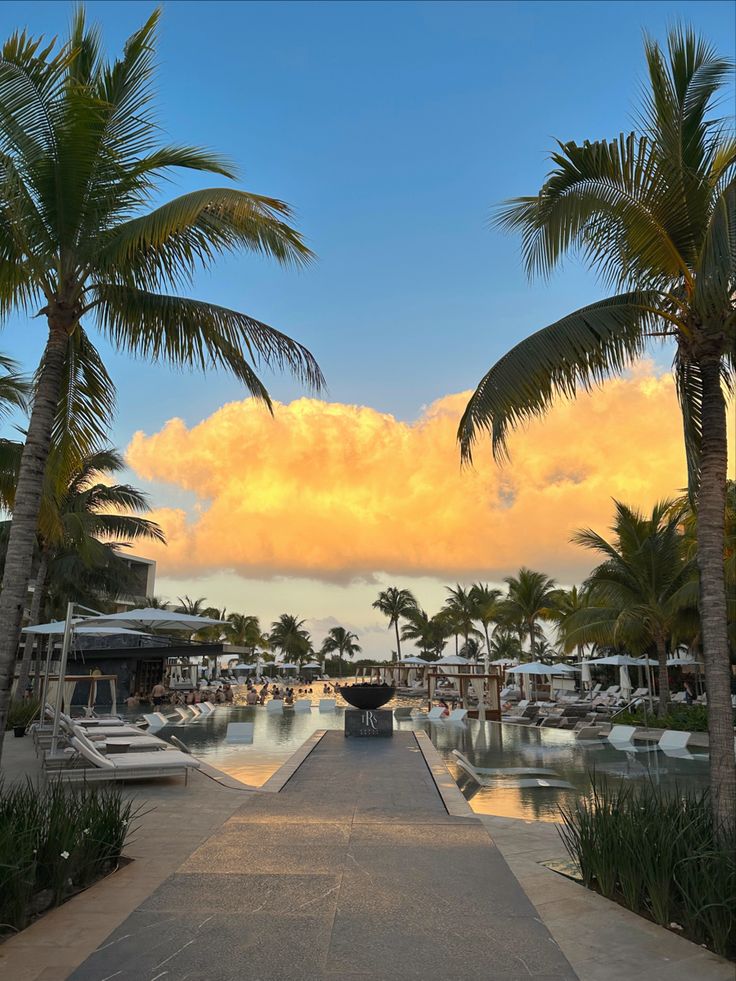 palm trees line the walkway leading to an outdoor swimming pool with boats in the water