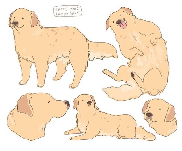 a bunch of dogs that are sitting down