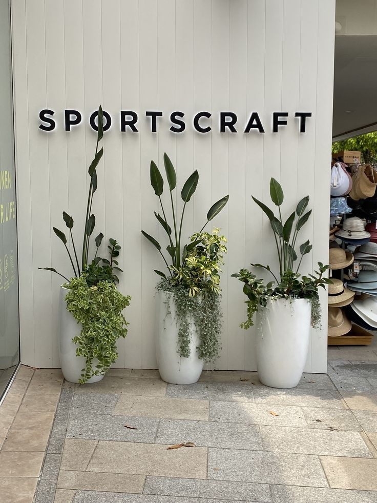 three white vases with plants in them sitting on the side of a building that says sportscraft