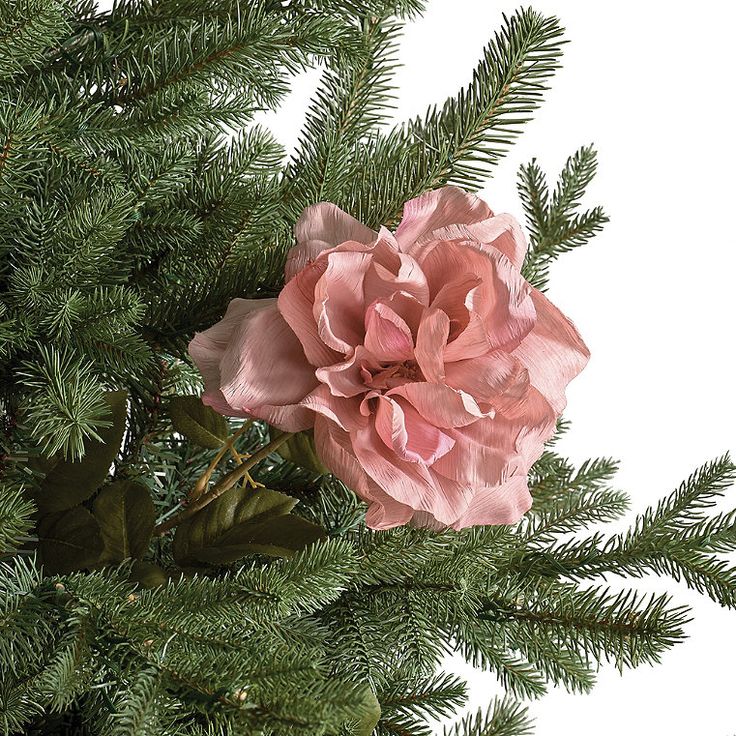 a pink flower sitting on top of a green tree next to pine cones and needles