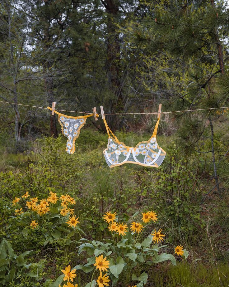 two bras hanging on a clothes line in the woods next to sunflowers