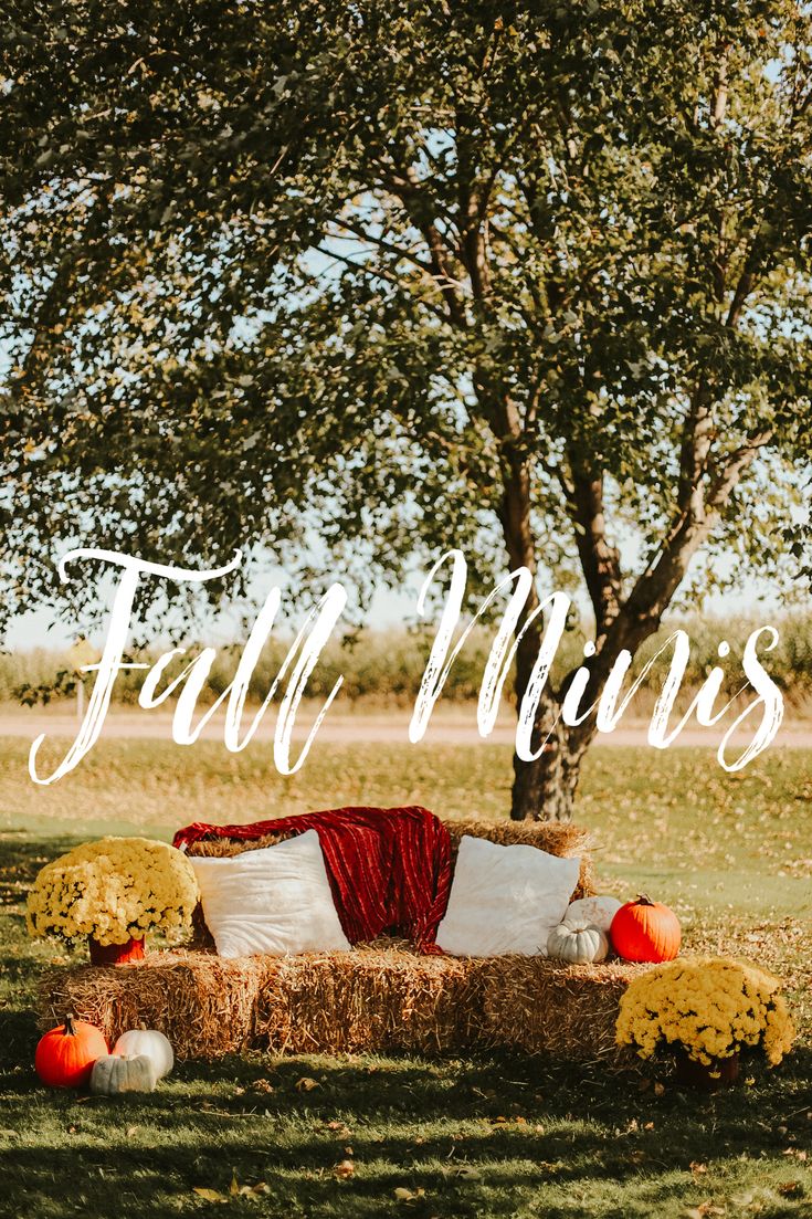 a hay bale couch sitting under a tree