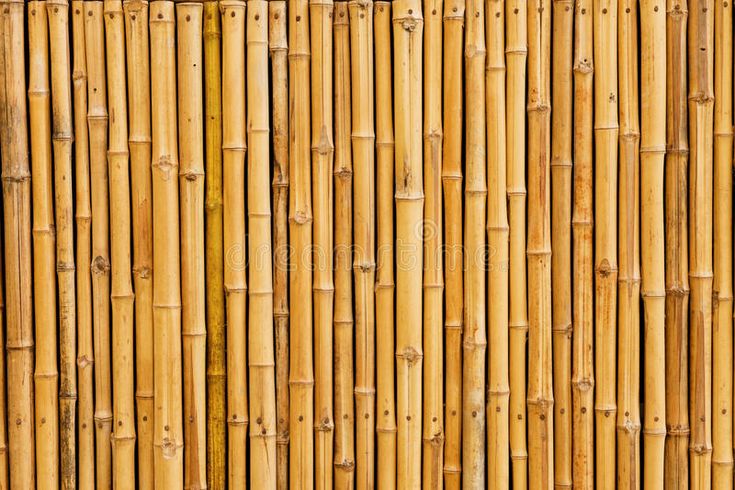 the bamboo wall is made up of many different types of sticks