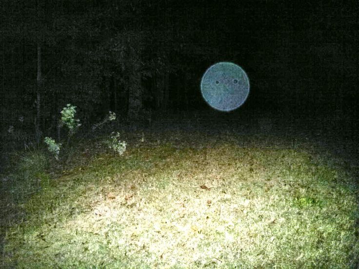 a blurry image of a frisbee in the dark woods at night time