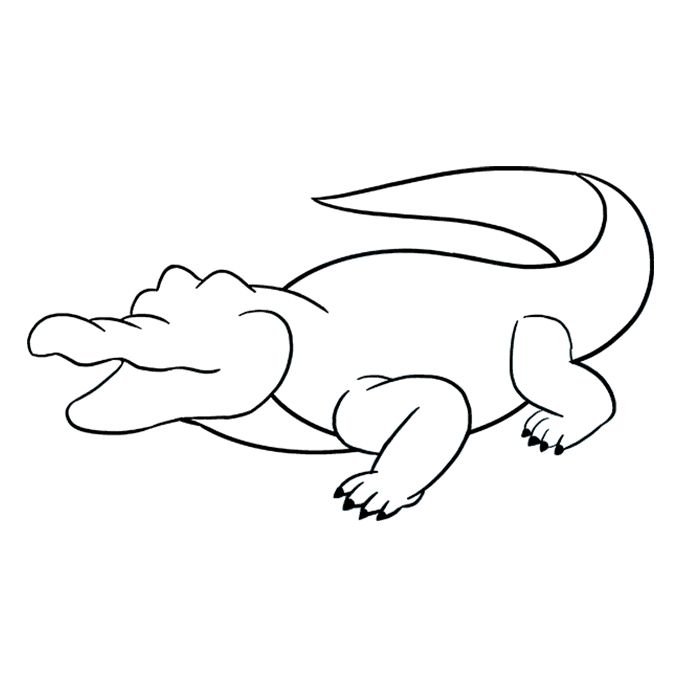 an alligator is laying down on the ground coloring pages for adults and kids, including children's books