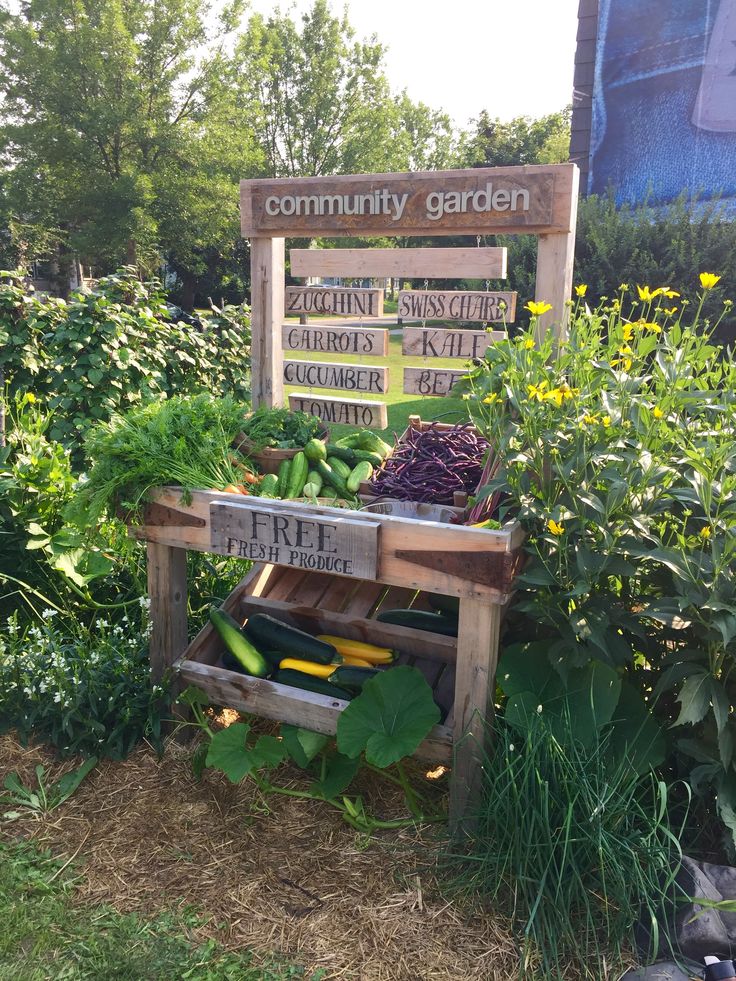 a wooden bench sitting in the middle of a garden filled with plants and vegetables next to a sign that says community garden