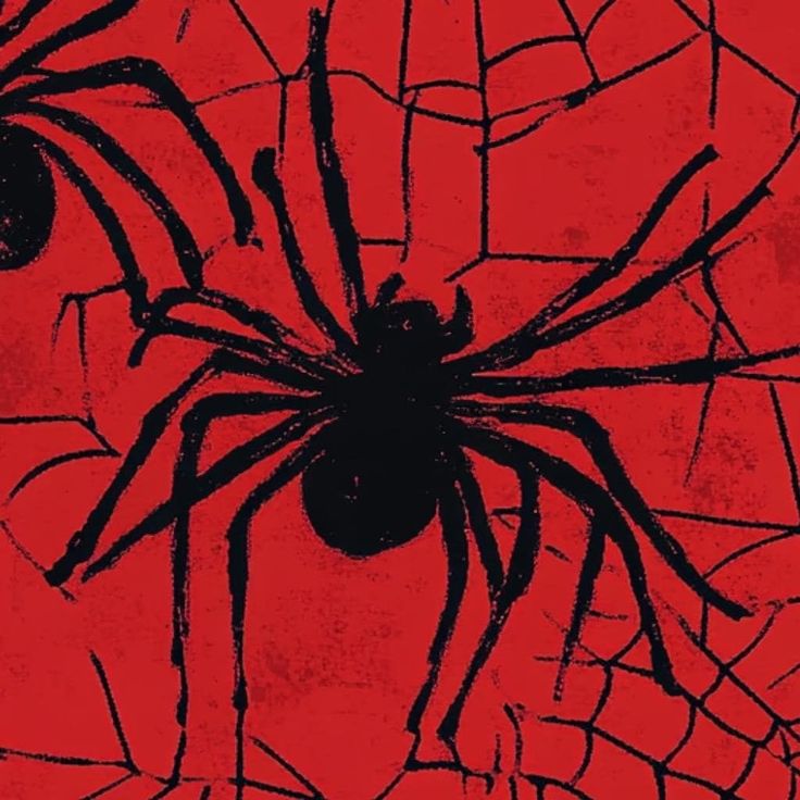 a black spider on a red background