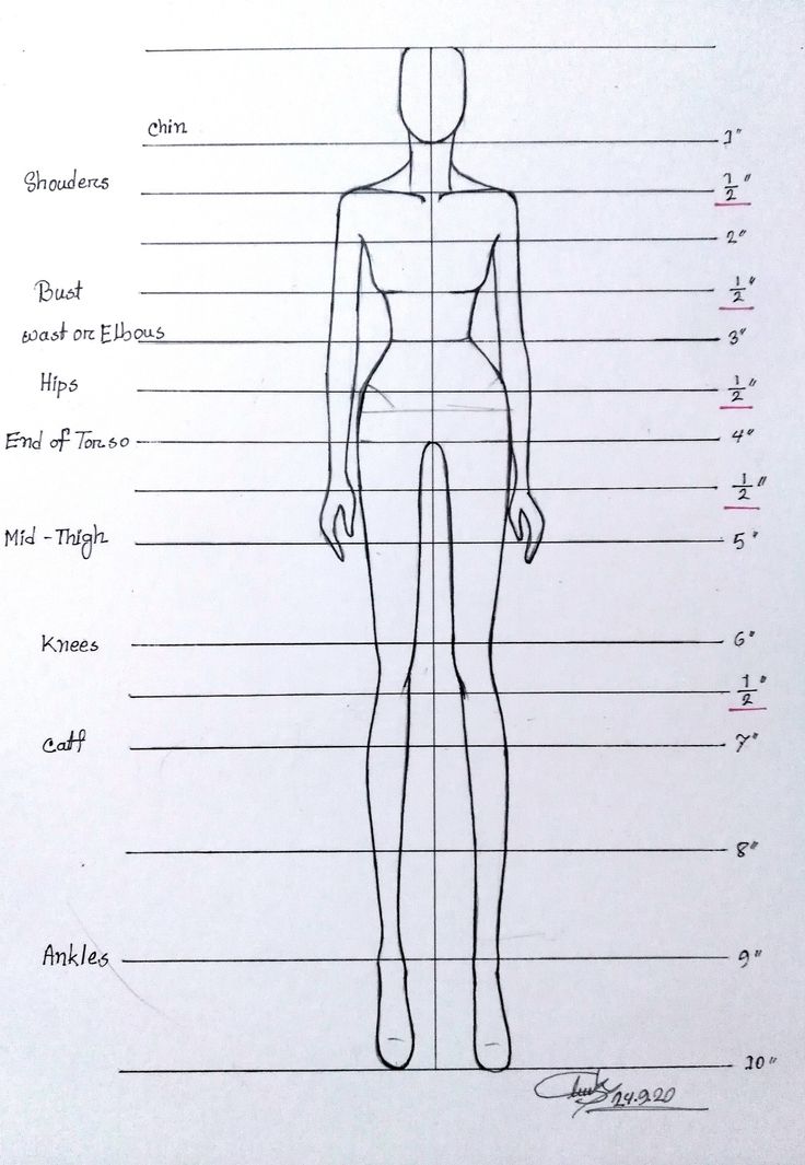 a drawing of a female mannequin with measurements for each part of the body