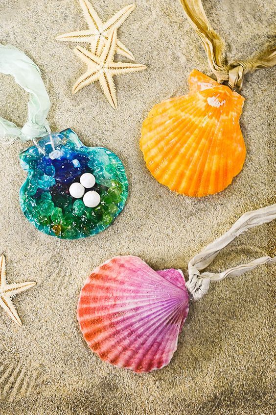 three seashells and starfish on the beach