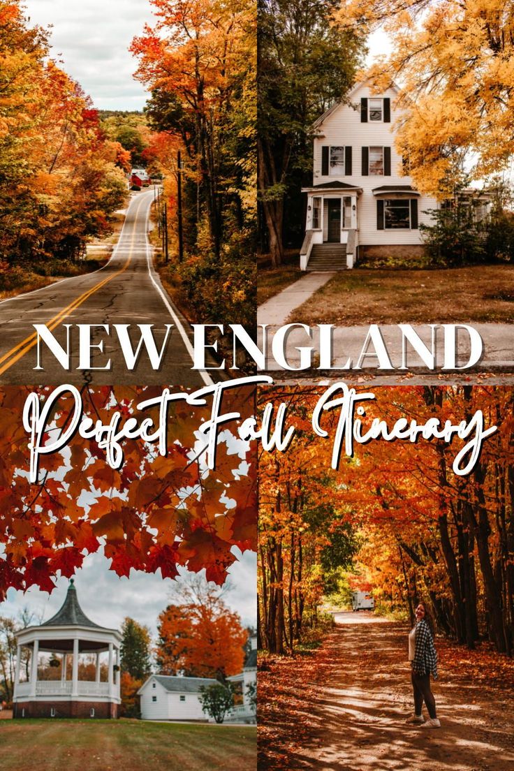 the front cover of new england perfect fall trancy, with an image of a white house and trees in autumn