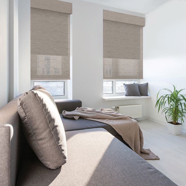 a living room filled with furniture and windows covered in roman blind shades next to a plant