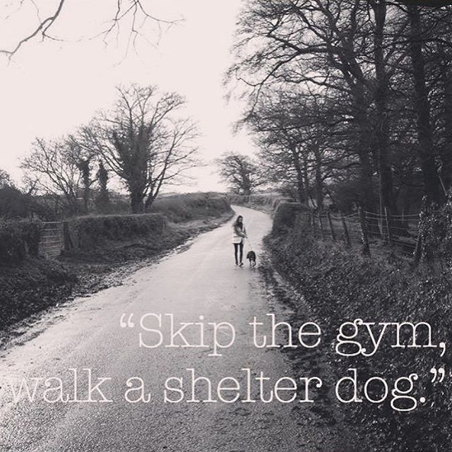 a woman walking her dog down a country road with the words skip the gym, walk a shelter dog