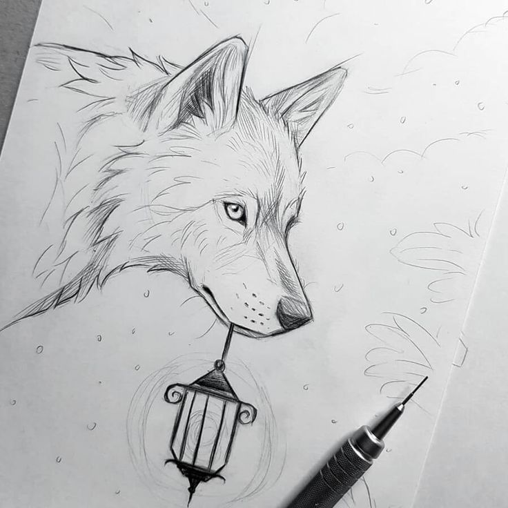 animal pencil drawing Cool Wolf Drawings, Skitse Bog, Wolf Sketch, Cute Pencil, Výtvarné Reference, Animal Drawings Sketches, Wolf Drawing, Canine Art, Animal Sketches