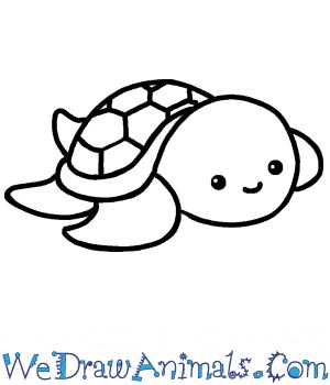 a drawing of a turtle with the words we draw animals com