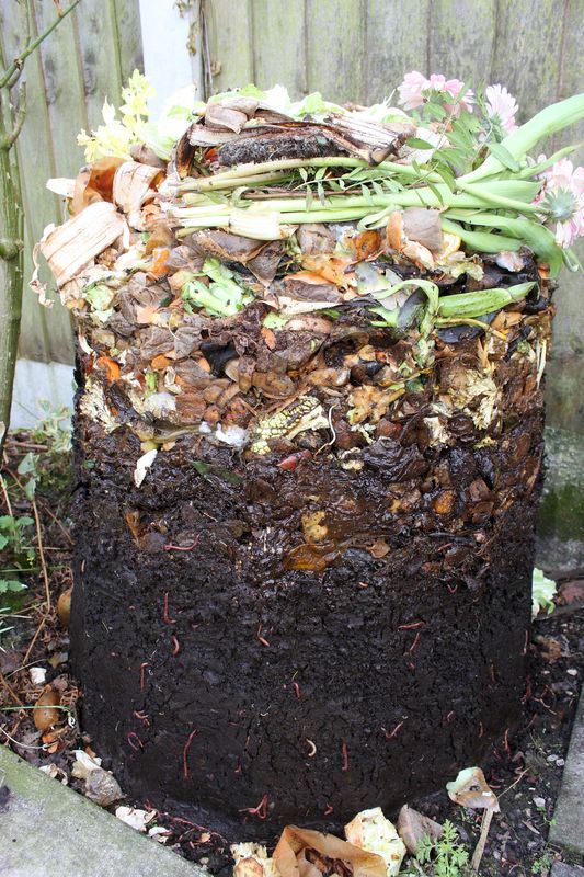 there is a very large potted plant in the ground with some dirt on it