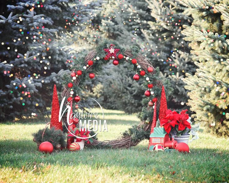 a christmas wreath with red balls and poinsettis on the grass in front of trees