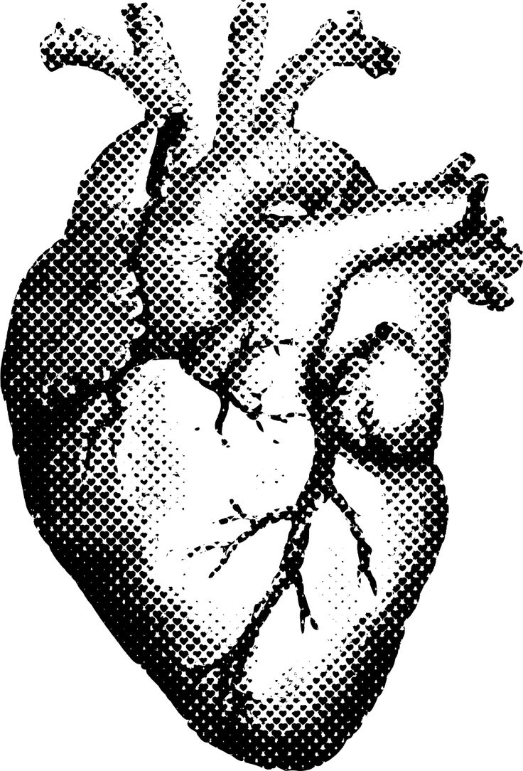 a black and white drawing of a heart