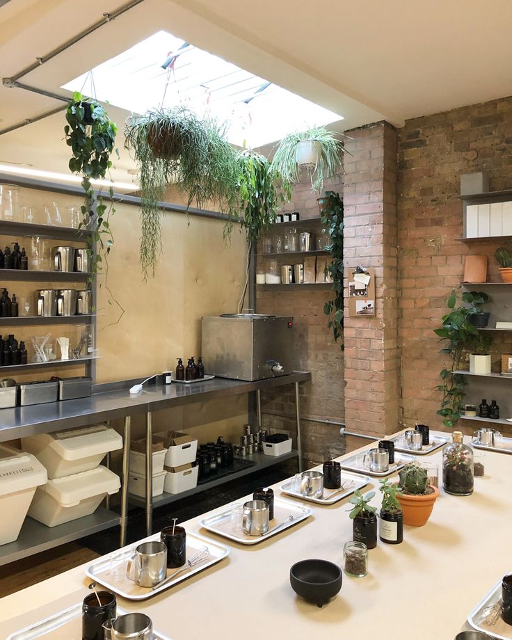 a kitchen filled with lots of pots and pans next to a counter top covered in plants