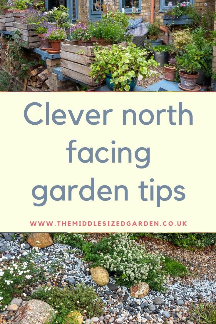 the words clever north facing garden tips in front of a house