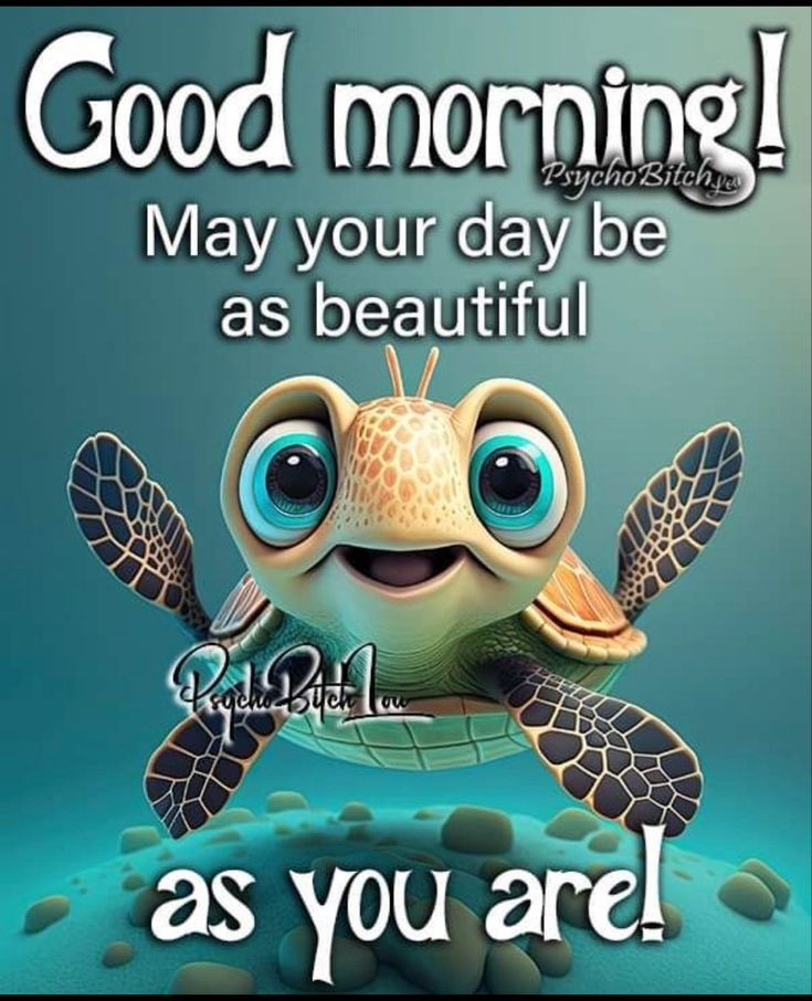 a turtle with the words good morning may your day be as beautiful as you are