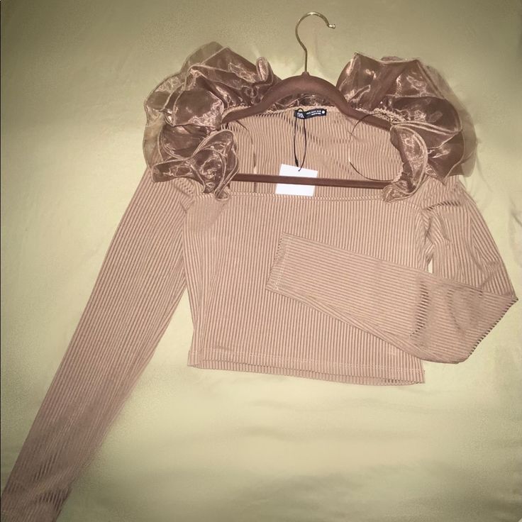 Brown Crop Top. Never Worn Trendy Beige Tops For Party, Trendy Beige Party Top, Fitted Beige Party Top, Beige Stretch Top For Party, Feminine Brown Tops For Fall, Brown Long Sleeve Party Tops, Trendy Fitted Taupe Tops, Cream Party Tops For Winter, Cream Winter Party Top