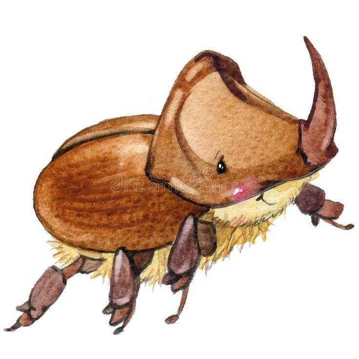 a drawing of a bug with long legs and large horns on it's back