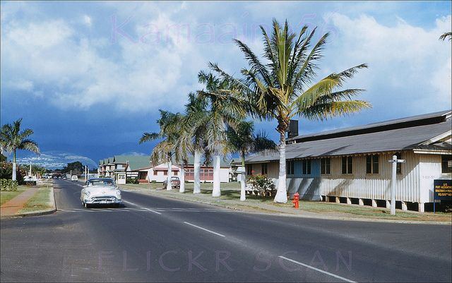 a car driving down the road in front of some houses and palm trees on a cloudy day