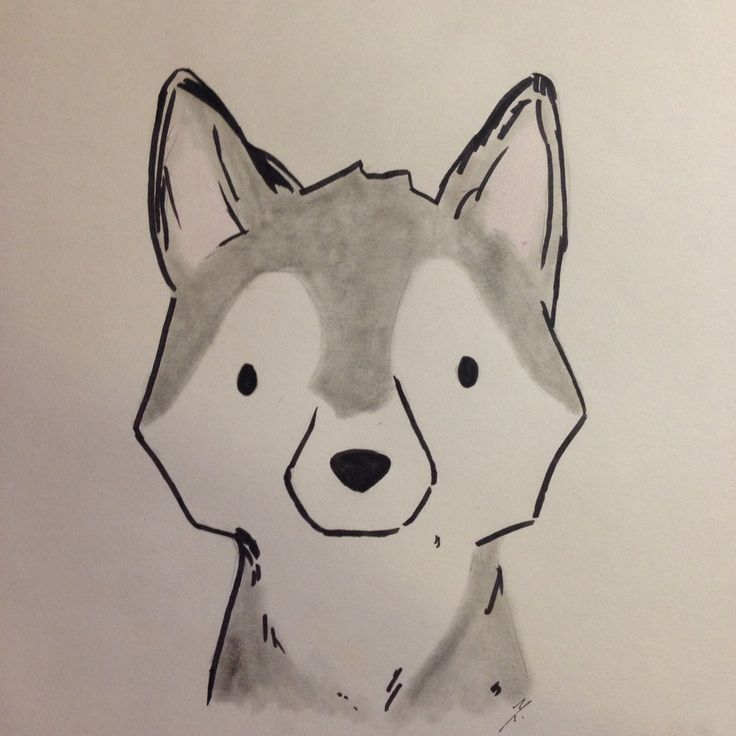 a drawing of a dog's face is shown