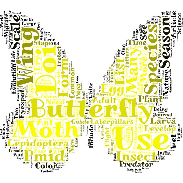 a butterfly shaped word cloud in yellow and white