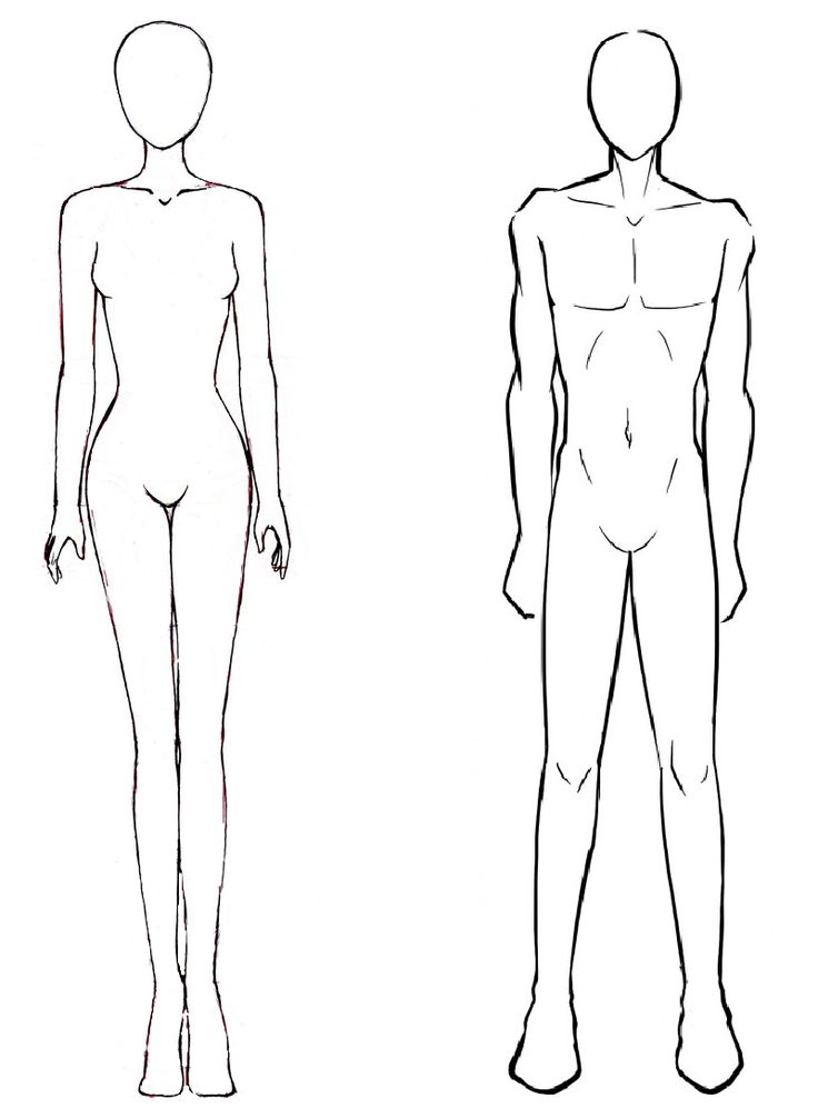 an outline drawing of a male and female mannequins side - by - side