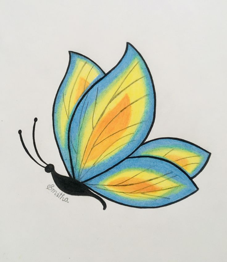 a drawing of a blue and yellow butterfly