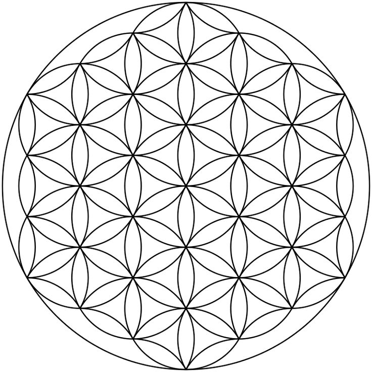 the flower of life is shown in black and white