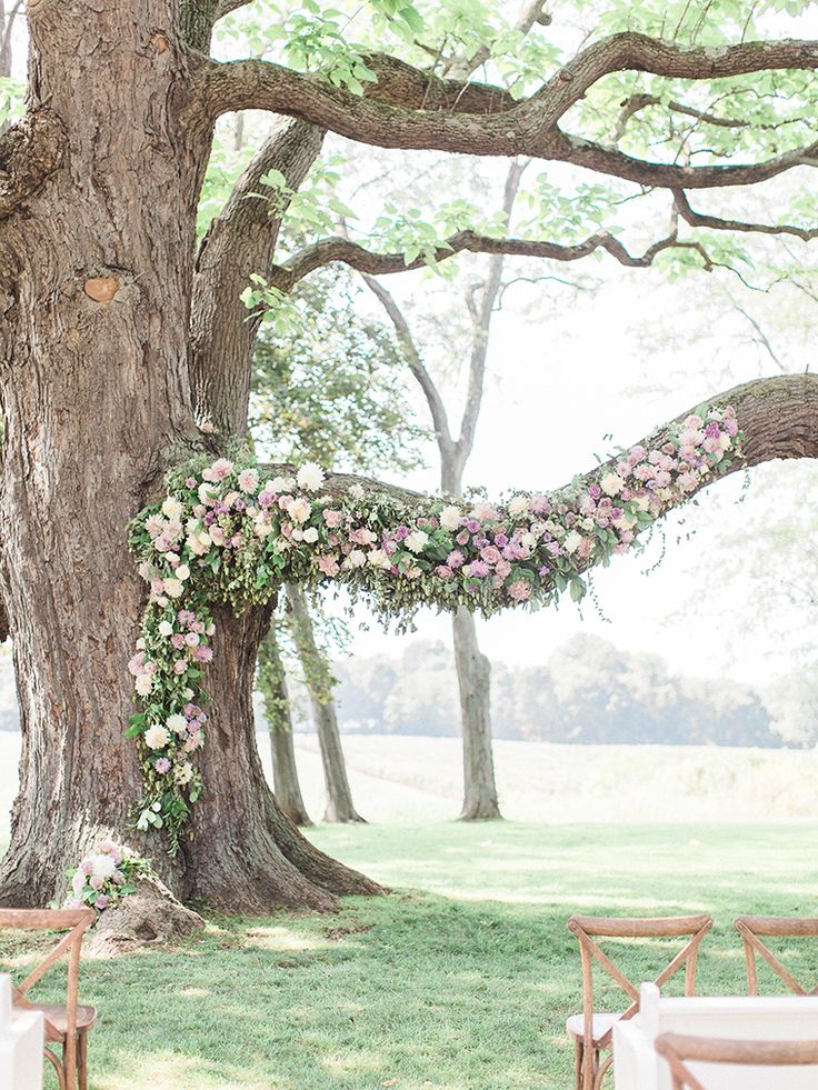 an outdoor wedding setup under a large tree