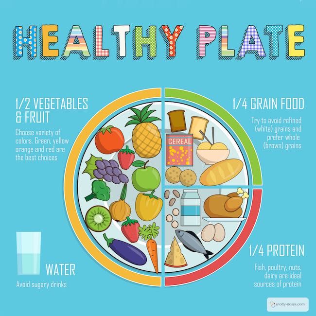 Do your kids eat a Healthy Diet? Do you know what a healthy diet for kids is? One that contains lots of fruit and vegetables. By a pediatrician Healthy Diet For Kids, Diet For Children, Healthy Eating Plate, Toddler Nutrition, Healthy Plate, Healthy Eating For Kids, Diet Vegetarian, Year 1, Healthy Eating Habits