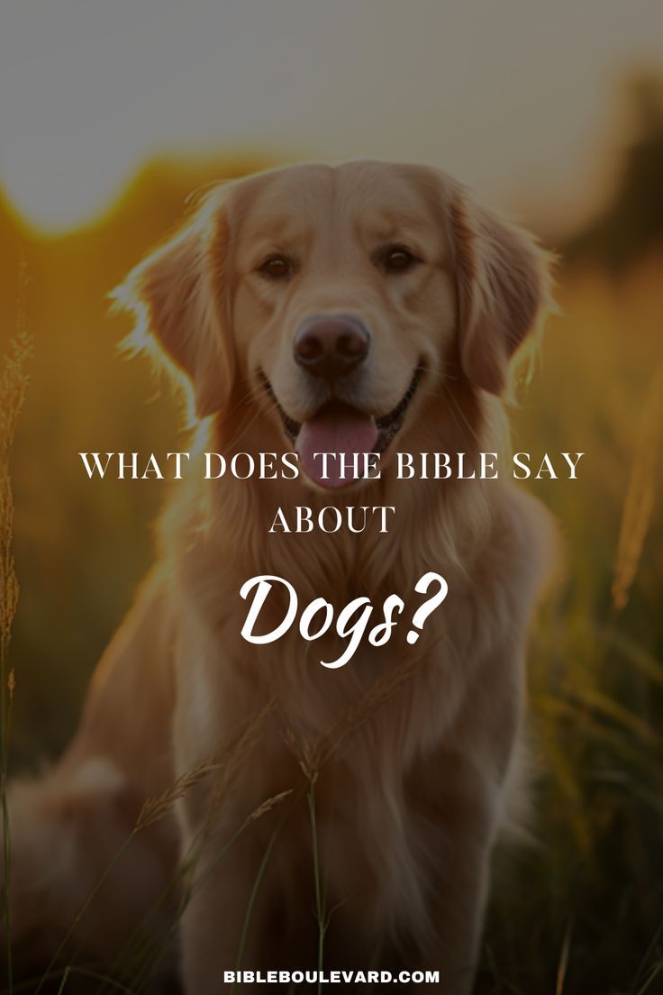 What Does the Bible Say About Dogs? Biblical Times, Societal Norms, Bible Characters, About Dogs, Bible Knowledge, The Dogs, The Times, The Bible, Bible Study