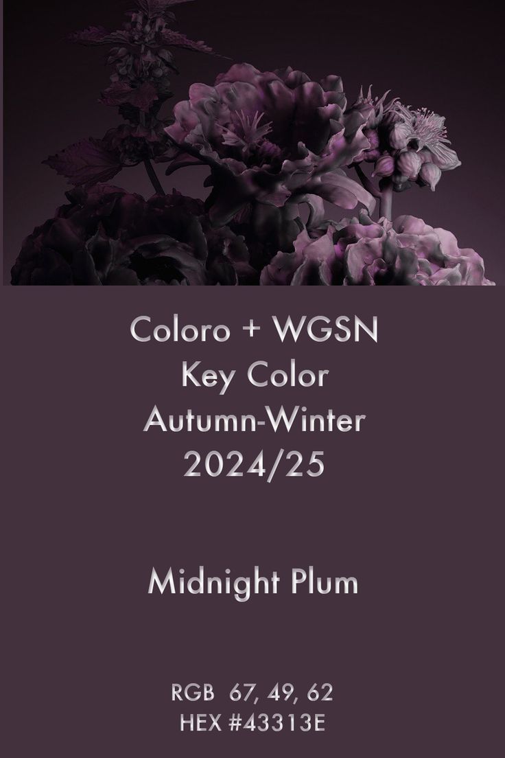 a black and white photo with purple flowers in the center, text reads color + wgsn key color autumn - winter 2012 / 2015 / 25 midnight plum