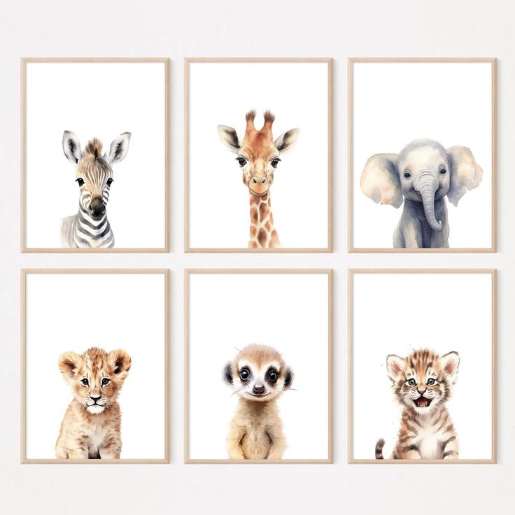 four pictures of different animals on white background