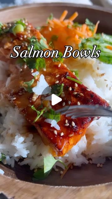 a plate with rice, broccoli and salmon in sauce on it that says salmon books