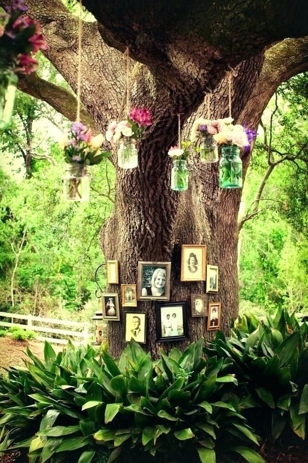 a tree with pictures hanging from it's branches