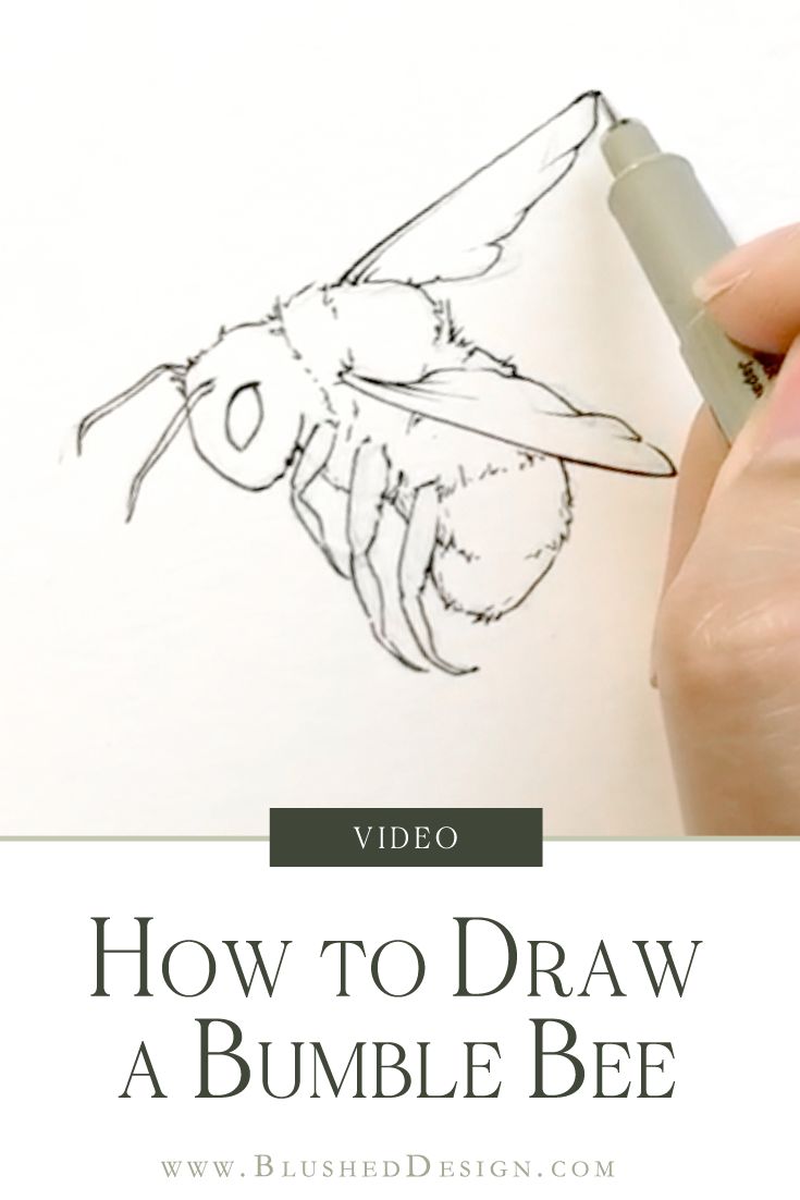 a hand drawing a bee on paper with the words how to draw a bumble bee