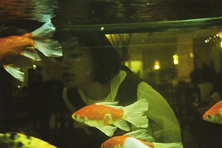 a man looking at two goldfish in an aquarium