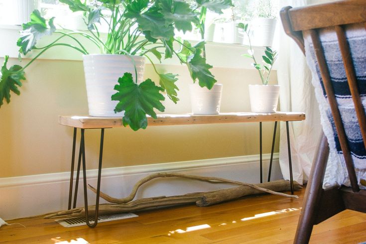 some plants are sitting on a table in front of a window