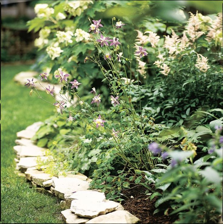 the garden is full of flowers and rocks