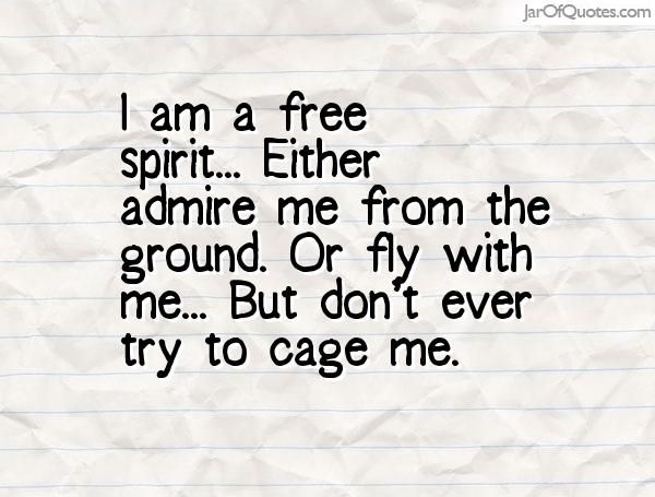 a piece of paper with the words i am a free spirit either admire me from the ground or fly with me but don't ever try to cage me