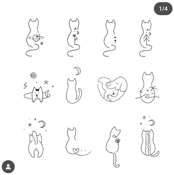 the different types of cats that are drawn on paper